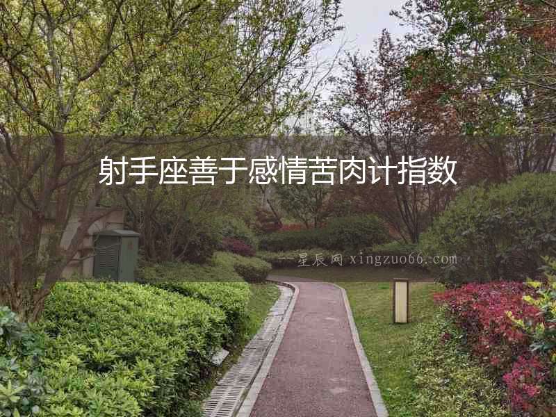 射手座善于感情苦肉計指數