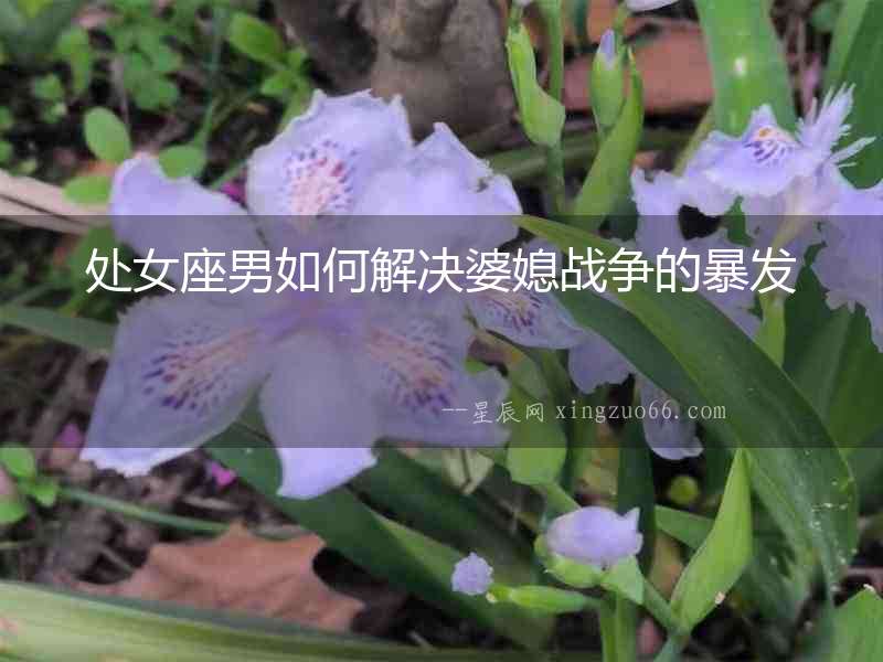 處女座男如何解決婆媳戰爭的暴發