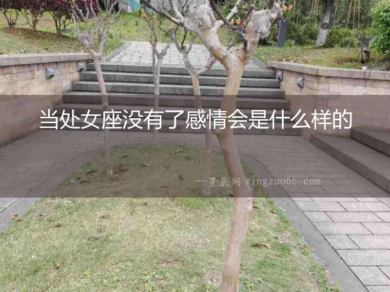 當(dāng)處女座沒(méi)有了感情會(huì)是什么樣的