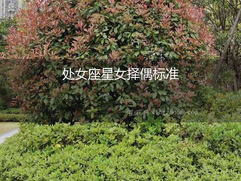 處女座星女擇偶標準