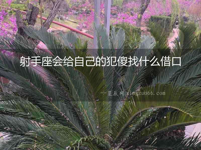 射手座會(huì)給自己的犯傻找什么借口