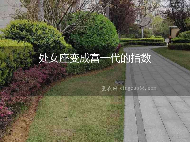 處女座變成富一代的指數(shù)