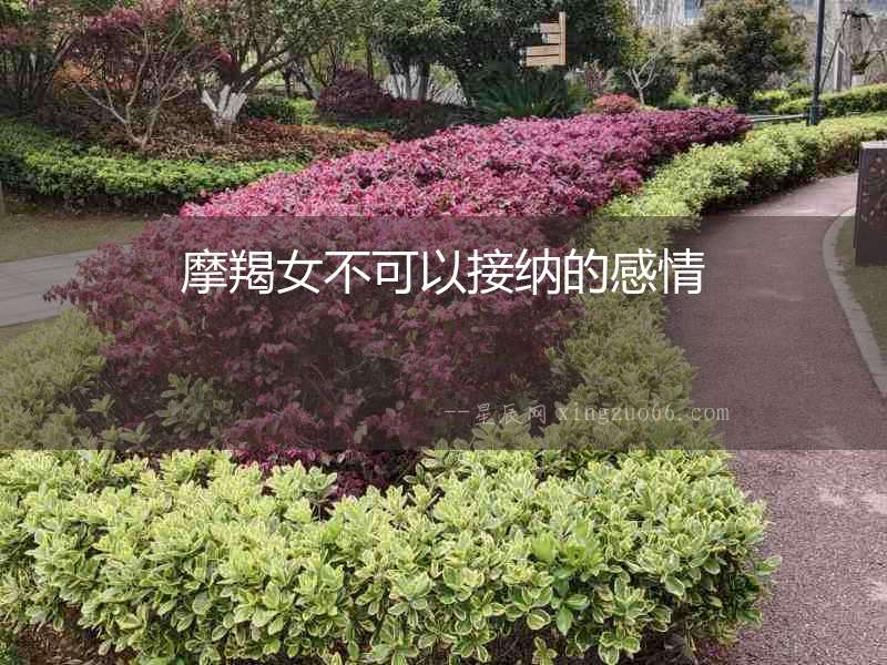 摩羯女不可以接納的感情