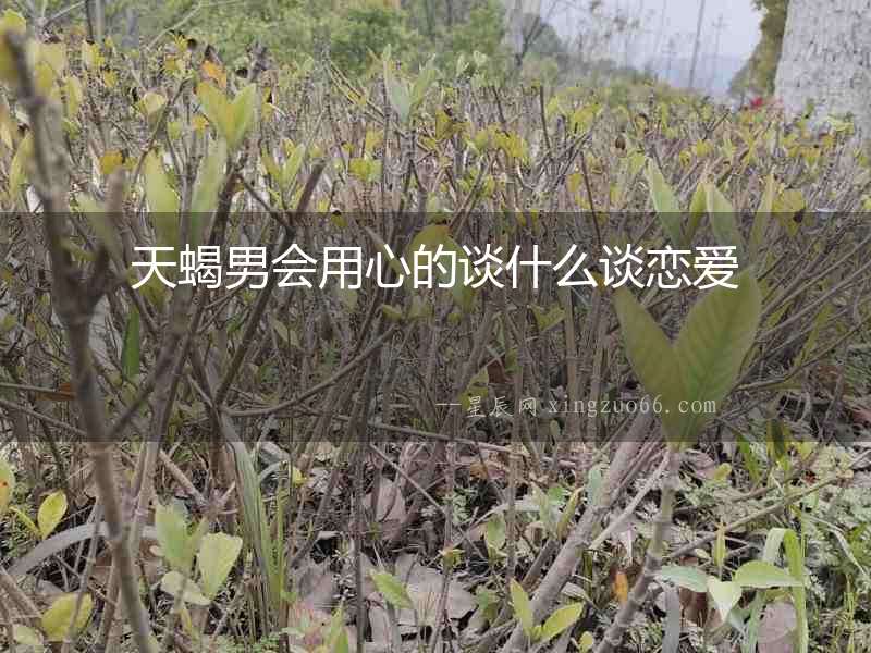 天蝎男會用心的談什么談戀愛