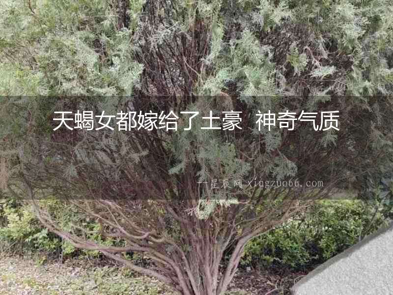 天蝎女都嫁給了土豪  神奇氣質(zhì)