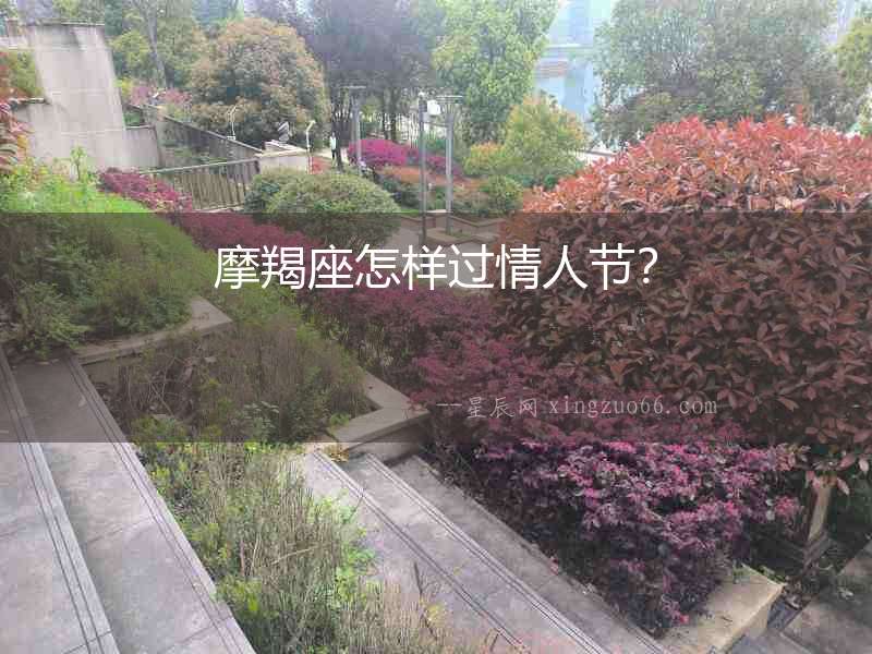 摩羯座怎樣過情人節？