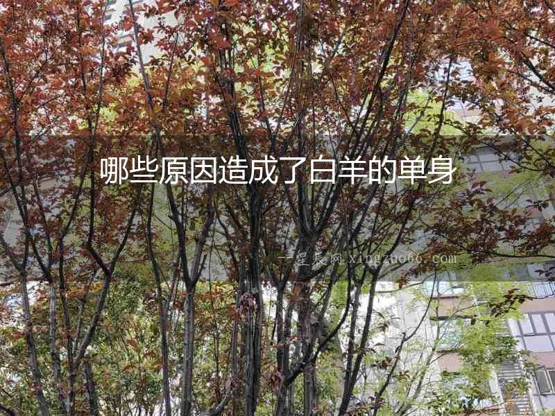 哪些原因造成了白羊的單身