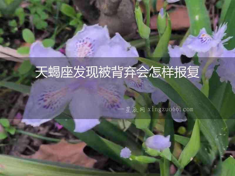 天蝎座發(fā)現(xiàn)被背棄會(huì)怎樣報(bào)復(fù)
