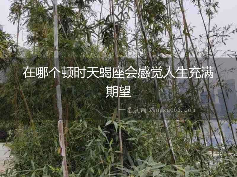 在哪個(gè)頓時(shí)天蝎座會感覺人生充滿期望