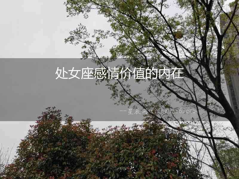 處女座感情價值的內在