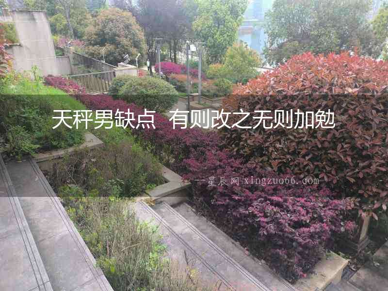 天秤男缺點  有則改之無則加勉