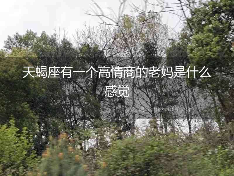 天蝎座有一個(gè)高情商的老媽是什么感覺