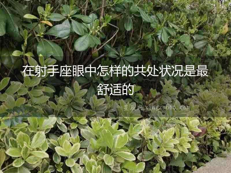 在射手座眼中怎樣的共處狀況是最舒適的