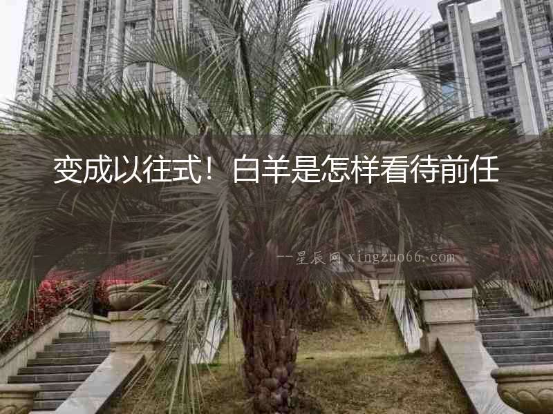 變成以往式！白羊是怎樣看待前任