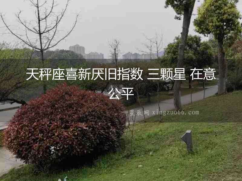 天秤座喜新厭舊指數 三顆星 在意公平