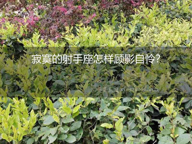 寂寞的射手座怎樣顧影自憐？