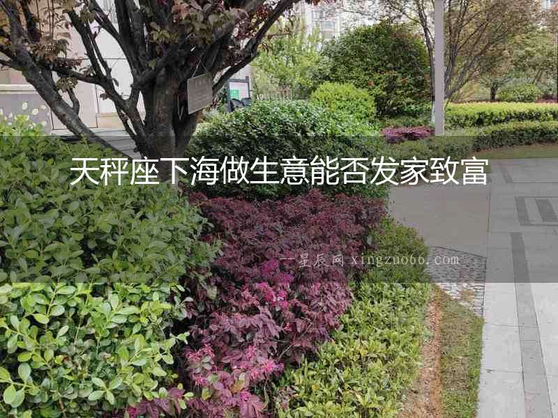天秤座下海做生意能否發(fā)家致富