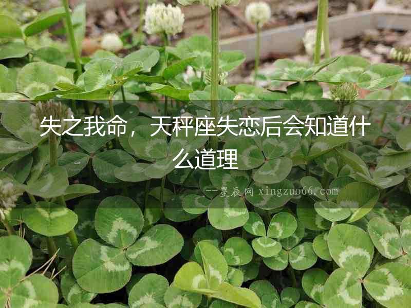 失之我命，天秤座失戀后會(huì)知道什么道理