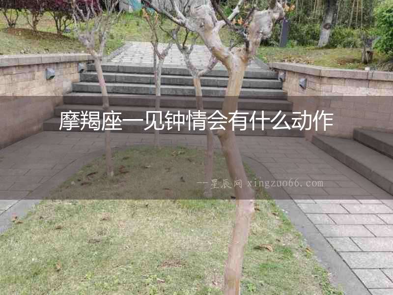 摩羯座一見鐘情會有什么動作