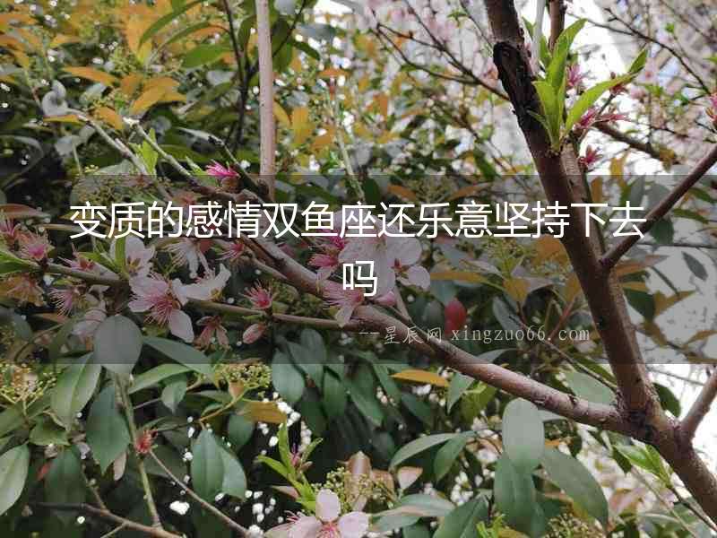 變質(zhì)的感情雙魚(yú)座還樂(lè)意堅(jiān)持下去嗎