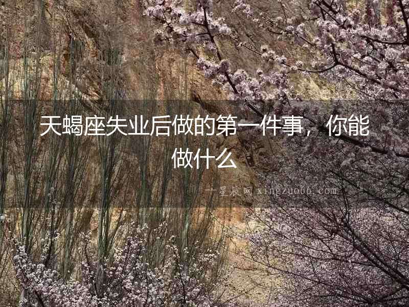 天蝎座失業(yè)后做的第一件事，你能做什么