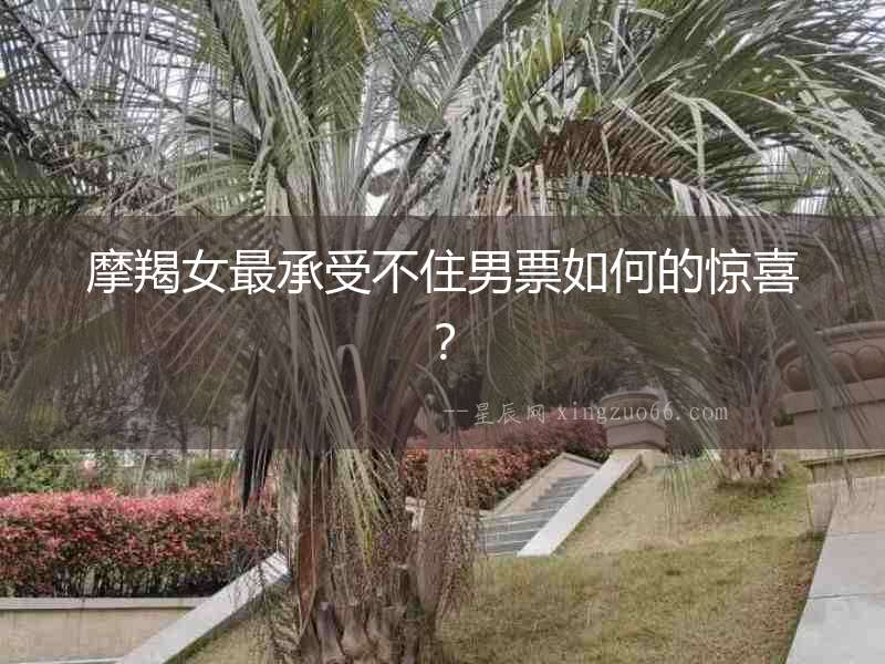 摩羯女最承受不住男票如何的驚喜？
