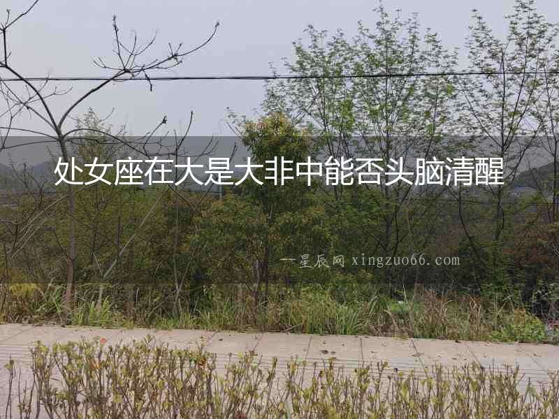 處女座在大是大非中能否頭腦清醒