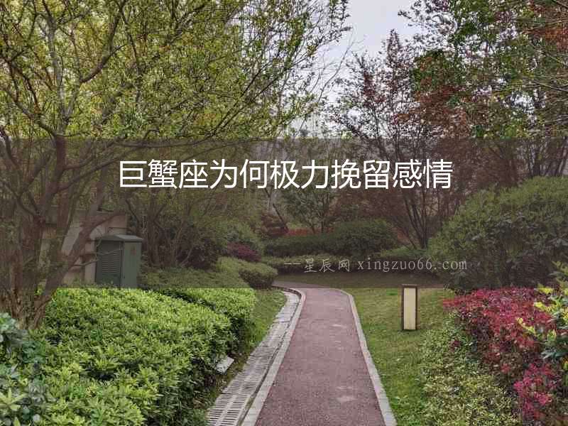 巨蟹座為何極力挽留感情