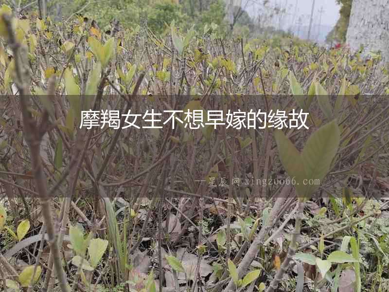 摩羯女生不想早嫁的緣故