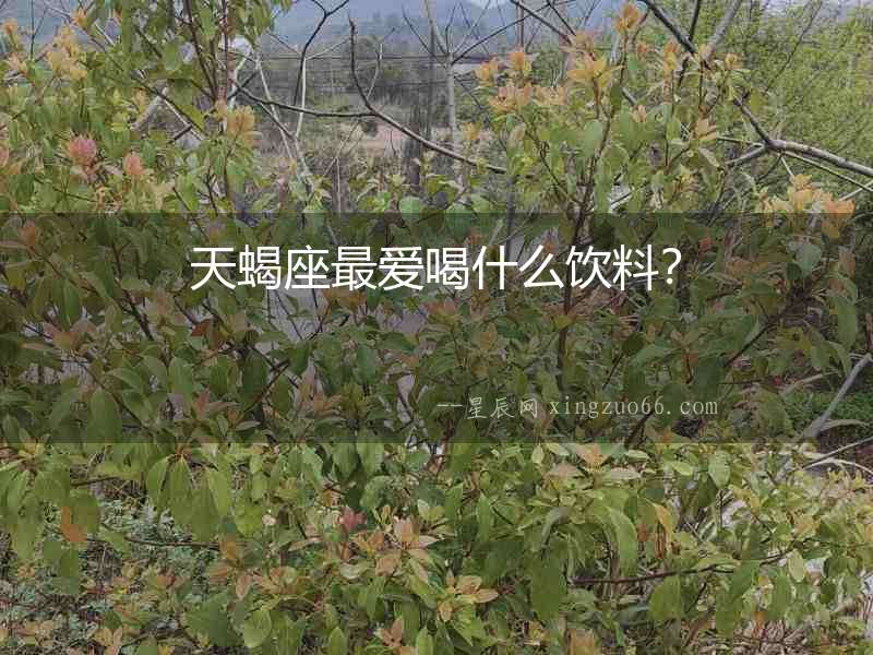天蝎座最愛(ài)喝什么飲料？