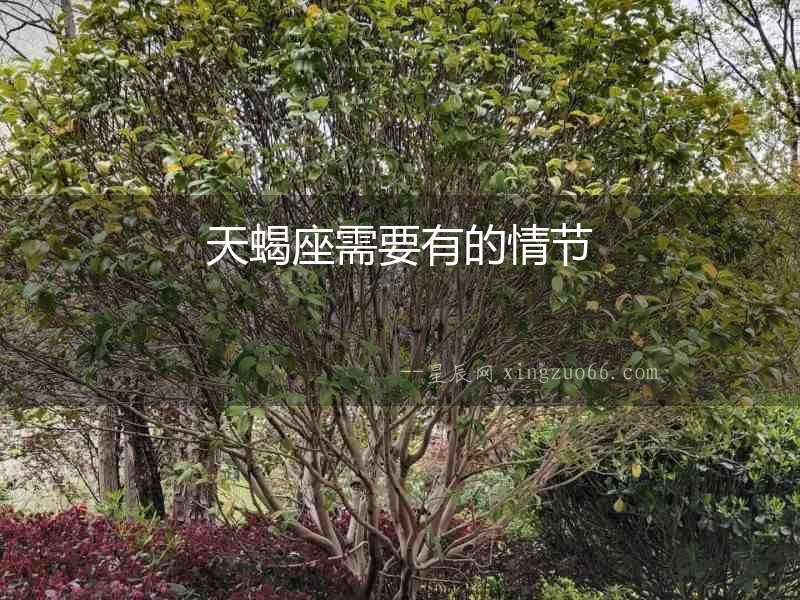 天蝎座需要有的情節