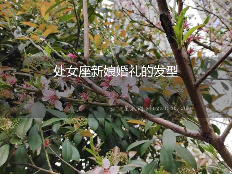 處女座新娘婚禮的發(fā)型
