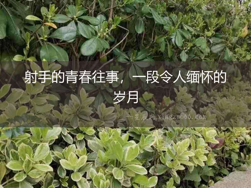 射手的青春往事，一段令人緬懷的歲月