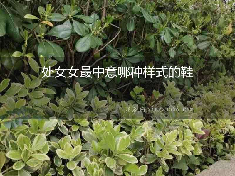處女女最中意哪種樣式的鞋