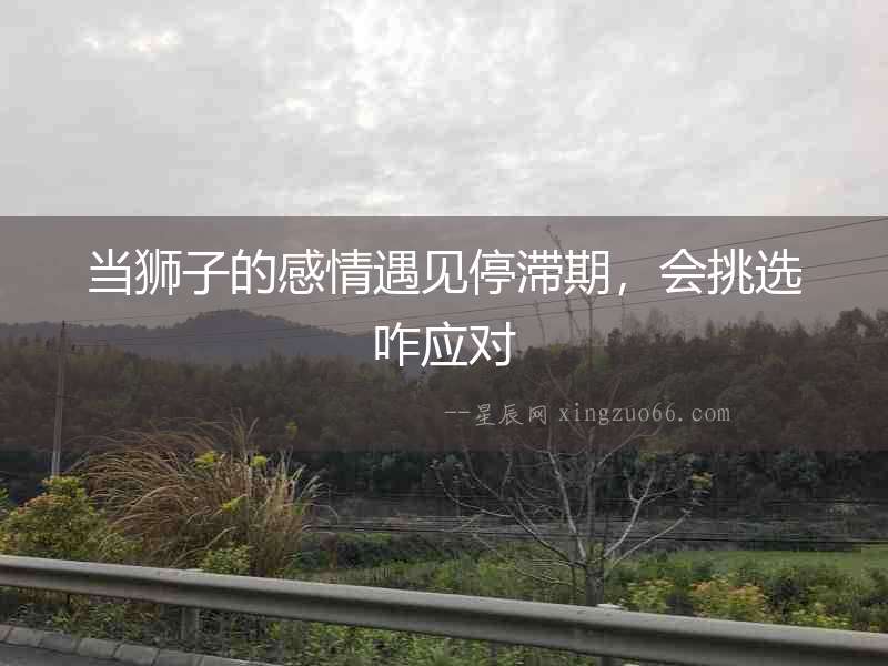 當獅子的感情遇見停滯期，會挑選咋應對