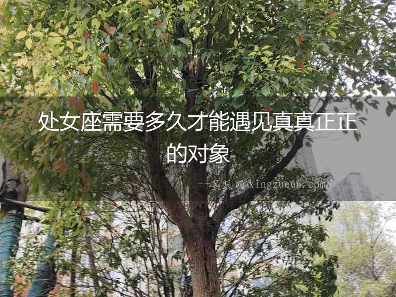 處女座需要多久才能遇見真真正正的對象