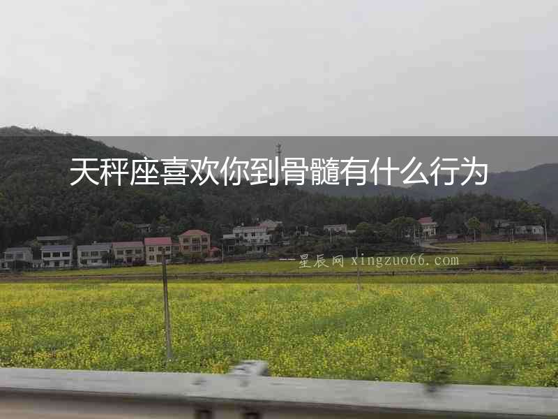 天秤座喜歡你到骨髓有什么行為