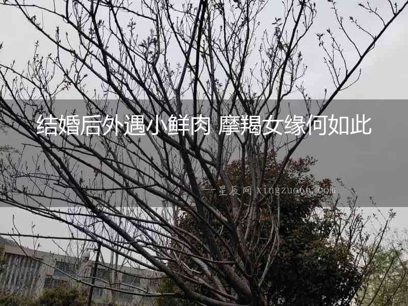 結婚后外遇小鮮肉 摩羯女緣何如此