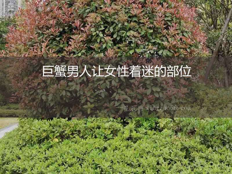 巨蟹男人讓女性著迷的部位
