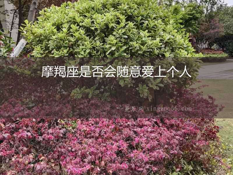 摩羯座是否會隨意愛上個人