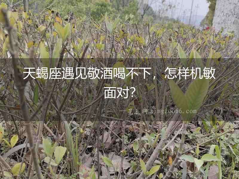 天蝎座遇見敬酒喝不下，怎樣機敏面對？