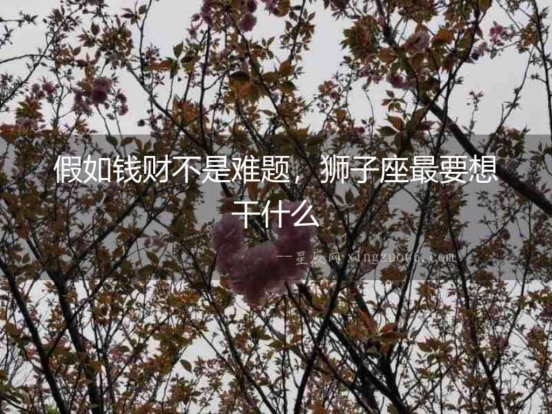 假如錢財不是難題，獅子座最要想干什么