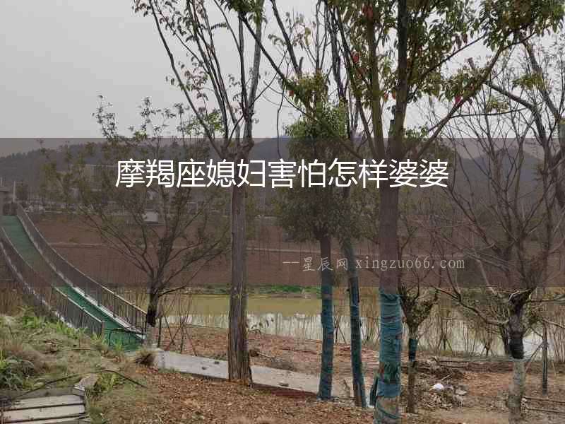 摩羯座媳婦害怕怎樣婆婆