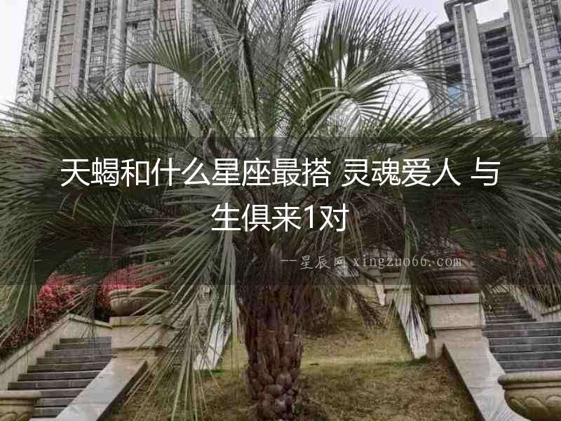 天蝎和什么星座最搭 靈魂愛人 與生俱來1對
