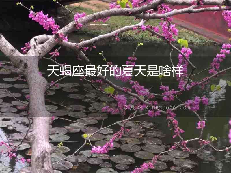 天蝎座最好的夏天是啥樣