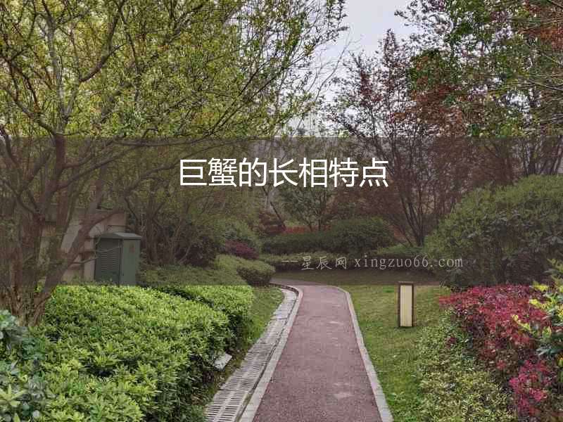 巨蟹的長相特點(diǎn)