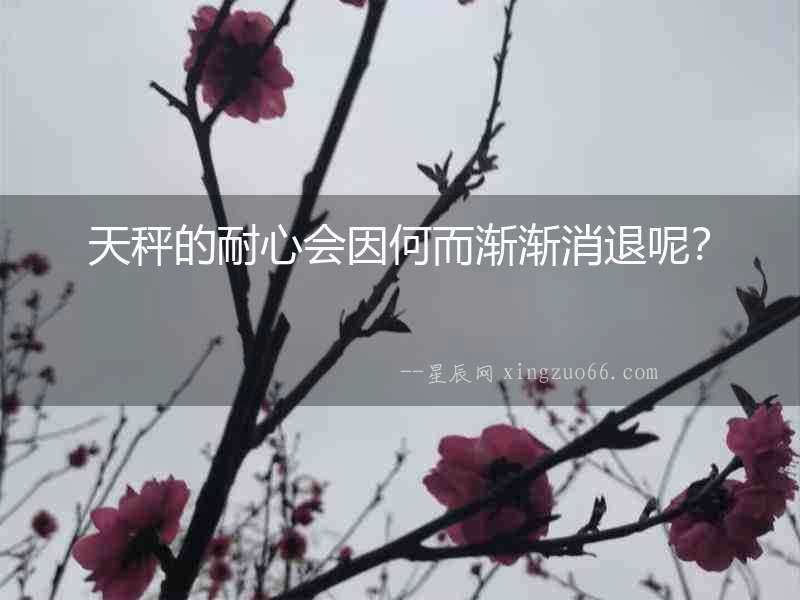 天秤的耐心會(huì)因何而漸漸消退呢？