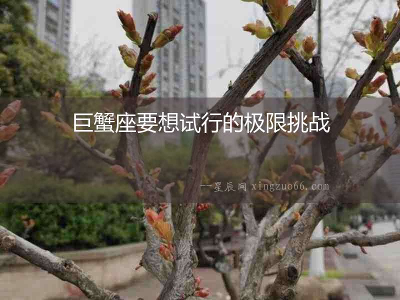 巨蟹座要想試行的極限挑戰