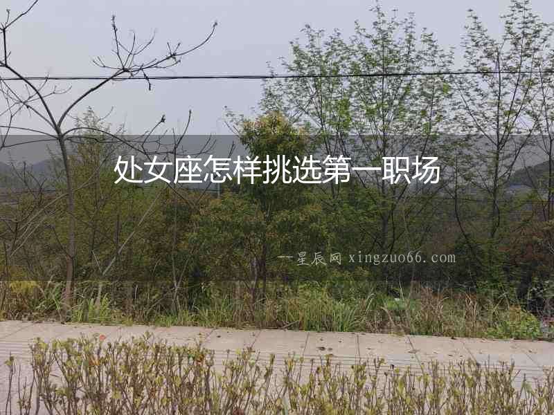處女座怎樣挑選第一職場