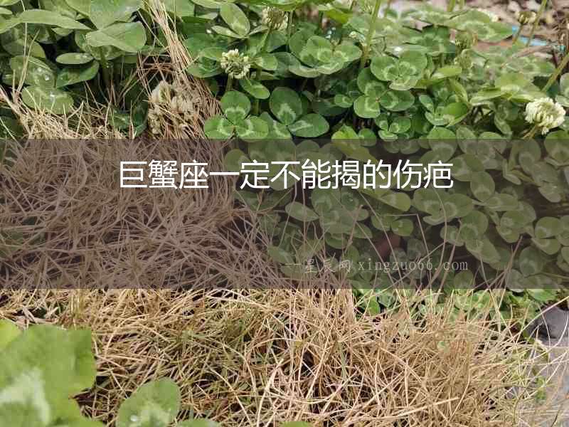 巨蟹座一定不能揭的傷疤